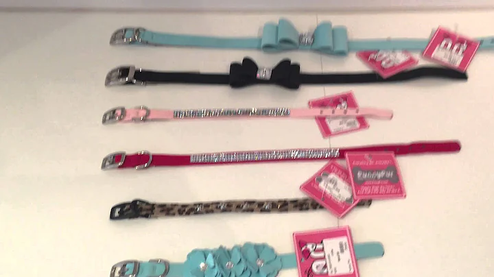Susan Lanci Supersuede Collars at Funny Fur
