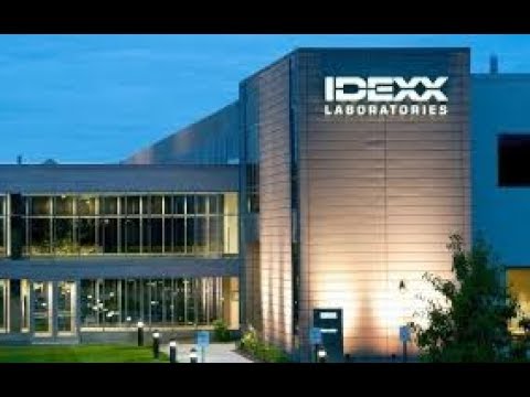 IDEXX Laboratories (value analysis)   2019 10 05