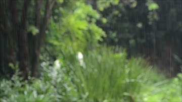 سورة ال عمران بصوت القارئ ياسر الدوسري مع صوت المطر |  SURAT AL AUMRAN rain sound YSSER ALDOSARI