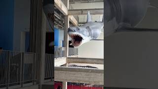 Off to visit Bruce! At the Academy Museum of Motion Pictures! #jaws #shorts