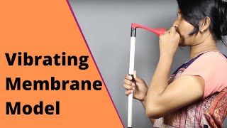 Vibrating Membrane Model Thinktac Diy Science