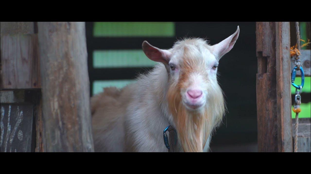 一般社団法人あぶくまエヌエスネットの2021年の夏! YouTube