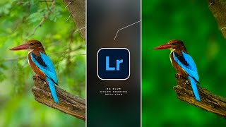 Perfect Background Blur + Color Grading in Lightroom Mobile and Snapseed || Picsart Photo Editing