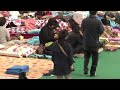 세월호 구조작업에 참여하고 있는 500명의 잠수부