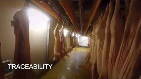 Frontmatec Control Systems | Cooling