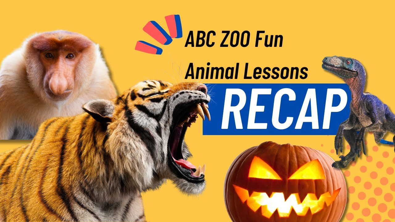 ABC ZOO Fun Recap: Discover Amazing Animal Lessons! - YouTube