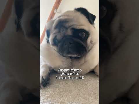 Yes I Am And Yes You Are 