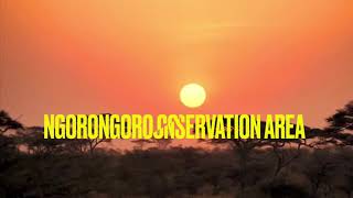 Ngorongoro Crater &amp; Conservation Area. Descending