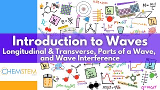 All About Waves in Just 5 Minutes: Types, Parts, and Wave Interference