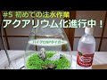 【アクアリウム】#5 初めての注水作業