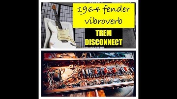 THE Stevie Ray Vaughan Amp 1964 Fender Vibroverb [Trem disconnect, tube bias, final thoughts]