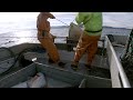 Shark City and Big Chunky Halibut! - Longlining Halibut