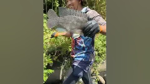 Unbelievable Cast Net Fishing - Fisherman vs River Catch Netting #fishing #fishingvideo