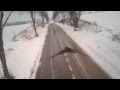 GoPro camera on falcon's back: Mid-flight bird attack caught on camera