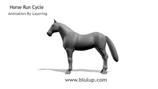 Horse Run Cycle Start to Finish Meme