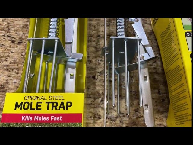 How to Set Talpex style Mole Traps - SUCCESS EVERY TIME!!! Road test of  LODI's mole CLAW TRAP!!! 