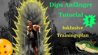 Trizeps Dip Übung ausführen►►  Dips Anfänger Tutorial►► Calisthenics Anfänger Trainingsplan deutsch