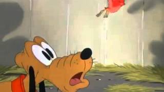 Cartoons For Children # Pluto Pluto's Fledgling