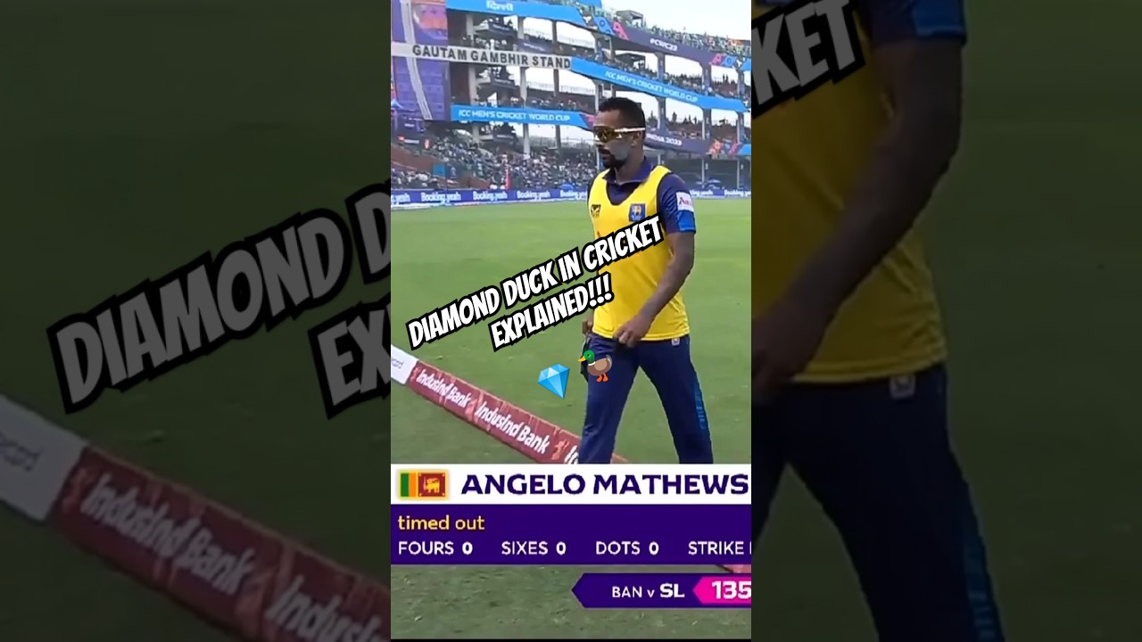 Ever heard of Diamond Duck? 