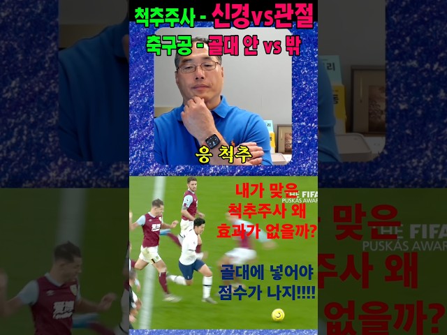 골대 안으로 골이 들어가야 점수가 난다고
