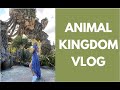 ANIMAL KINGDOM VLOG 2021!  DISNEY WORLD VLOG 3!