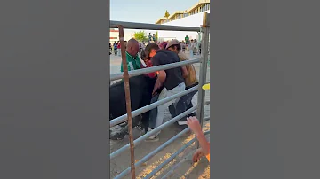 Young Bull Goes Wild At Portuguese Festival 
