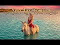 💸Affirmation Music: Soft Life Forever Lyric Video🌸Wealth Affirmations | Soft Life Season Starts now!