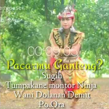 Story Whatsapp 32 Detik Sholah Erina Celeng Pesek