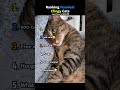 Ranking Funniest Clingy Cats 😹 #funnyshorts #funny #ranking #cat #fuunycat #cute #cutecat