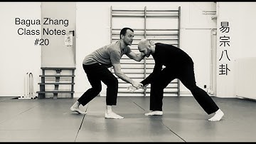 Bagua Zhang - Class Notes #20 / 30. March 2022