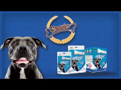 Gnawlers Dent Defense