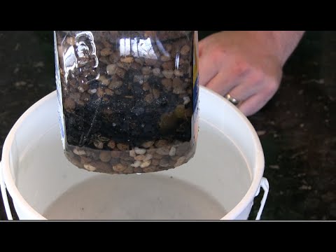 How To Make A Free And Simple Diy Garden Water Filter Youtube