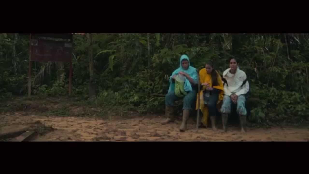 Adventure in Tambopata Jungle Tours