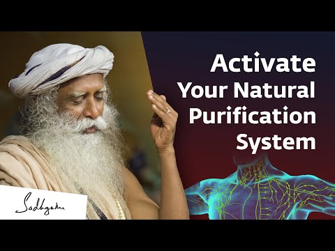 Video: Soil self-purification - meaning, stages and processes