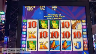 Big Bonus!! 💰🦋🐠- Brazil Slot Machine - $5 MAX BET screenshot 5