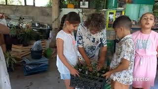 Բուսաբուծության լաբորատորիայում