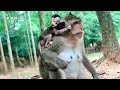Monkey Butt Addict Do Very Bad To Skinny Baby - BBlover 26