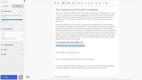 ContentBot - Long Form Editor Demo