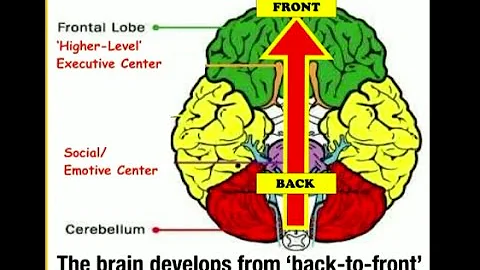 Katie Garner - Accelerating Phonics for Reading via Social Emotional Learning Channels in the Brain