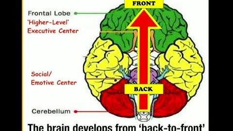 Katie Garner - Accelerating Phonics for Reading via Social Emotional Learning Channels in the Brain