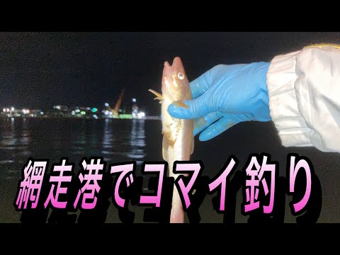 網走港でコマイ釣り 奈々チャンネル 網走釣り Youtube