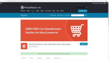 How To Replace WordPress Cron On Cloudways - It
