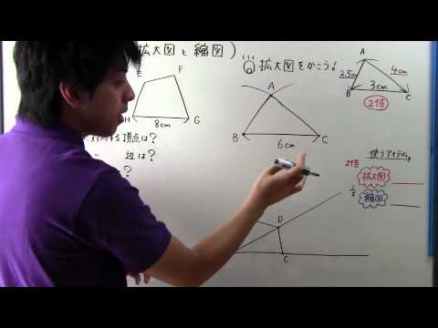 【小６　算数】　　小６－１９　　拡大図・縮図