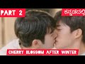 Cherry blossom after winter bl drama explained in kannada part2kdramabldramaboyslovelovekiss
