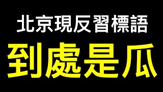 北京驚現反習標語喜迎二十大!廣東公开拒絕賦碼,庫爾勒到處都是瓜!
