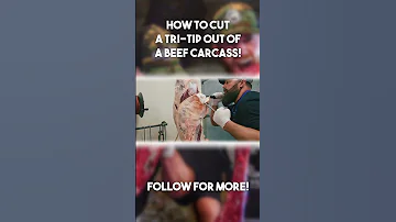 How To Cut A Tri Tip Out Of A Beef Carcass Shorts Butcher Meat 