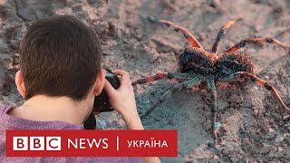 Тарантули взяли в облогу сільський будинок на Одещині