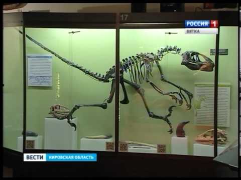 Видеоролик: Вятский палеонтологический музей — музей будущего