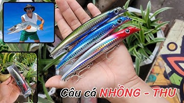 Mồi câu cá Chẽm, câu cá Nhồng siêu nhạy | Mồi giả sasuke14s | Đồ Câu Cá T3 |