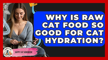 Why Is Raw Cat Food So Good For Cat Hydration? - Happy Cat Handbook